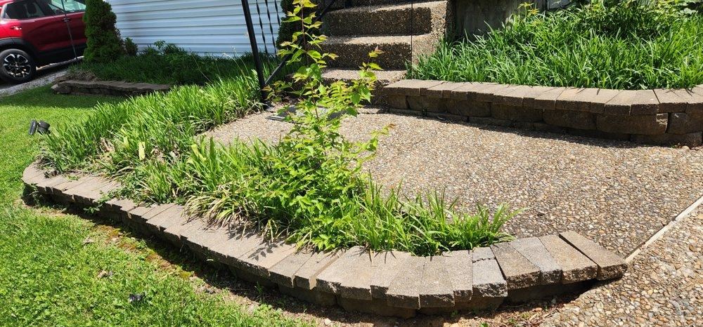 Concrete front steps crowded on both sides by overgrown grasses and weeds spilling over a low stone border.